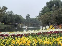 -泗洪洪泽湖湿地景区