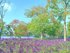 -上海山野camping·户外天幕烧烤·团建拓展营地