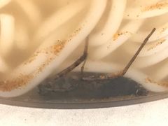 -螺蛳粉先生(蓟门桥店)