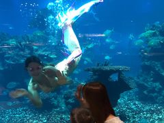 -海棠湾洲际-涛·海底餐厅·美人鱼·自助餐·海底隧道