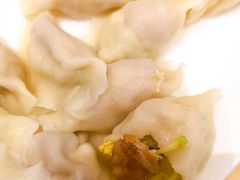 鲍鱼西葫芦水饺-船歌·鱼水饺青岛菜(国贸商城店)