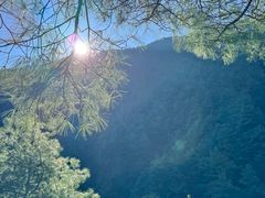 -苍山感通索道
