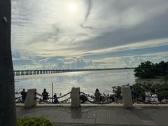 -宝安西湾红树林湿地公园