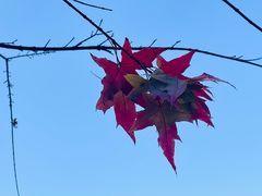 -上庄晋风庄园(上庄店)