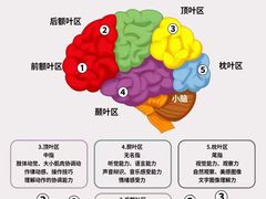 -珠江钢琴艺术中心(文一路店)