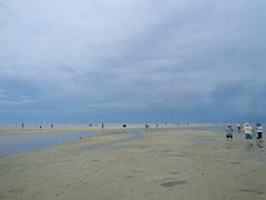 -北海金海湾红树林生态旅游区