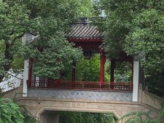 -龙潭水乡