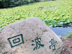 -叶家花园
