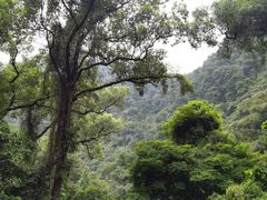 -鼎湖山风景区
