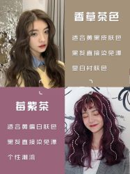 -FASHION PALACE hair+