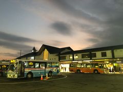 -鎌倉茶々(本店)