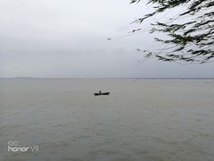 -湖南东洞庭湖国家级自然保护区