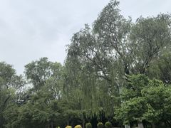 -大兴滨河森林公园