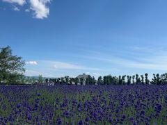 -富田农场