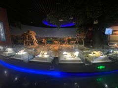 -安徽省地质博物馆