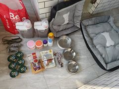 -趣玩宠物乐园寄养训犬训狗游泳池