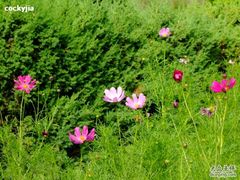 -白草畔自然风景区