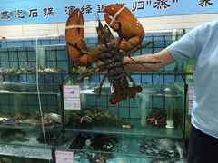 -海岛渔村大酒店(云霄路店)