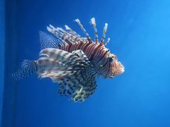 -海合安武汉极地海洋公园