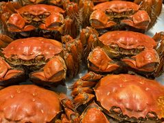 -碧丽宫大酒店(召稼楼店)