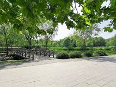 -望湖公园