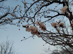 -玄武湖景区-情侣园游乐场