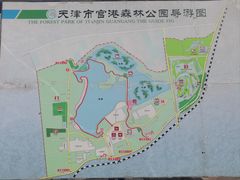 -官港森林公园