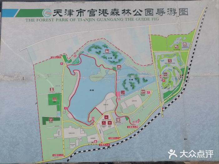 官港森林公园图片