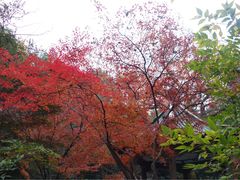 -湖南烈士公园(芙蓉区)