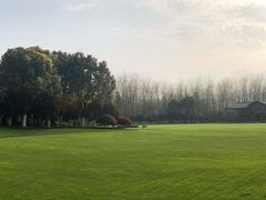 -合肥滨湖国家森林公园