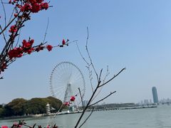 -无锡蠡湖国家湿地公园-蠡园