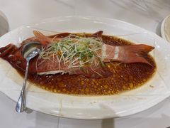 -国惠大酒楼(宝龙店)