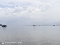 -西昌缸窑鲜鱼府