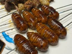 羊肉筋-高家烧鸽子烧烤店63年