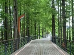 -青山湖景区