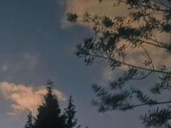 -长虫山生态公园风景林