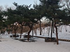 -元大都城垣遗址公园