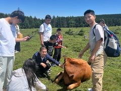 -芦芽山旅游度假区