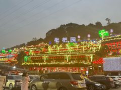 -枇杷园食为鲜火锅(南山店)