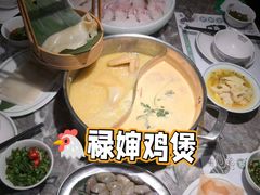 -禄婶鸡煲·打边炉
