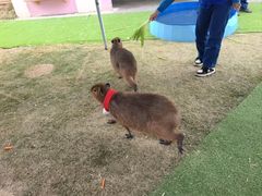 -盈香心动乐园