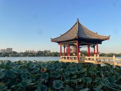 -济南大明湖景区