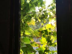 -斯多格书乡(北京大学畅春园店)