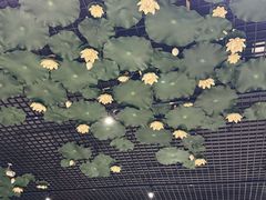 -福慧慈缘素食餐厅(王府井店)