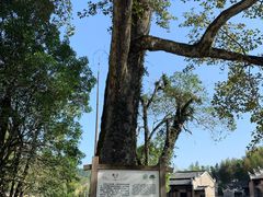 -井冈山风景名胜区