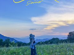 -白草畔自然风景区