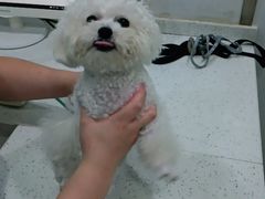 -佳雯宠物医院(金华南路分院)