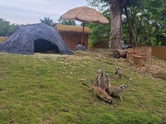 -泉州海丝野生动物世界