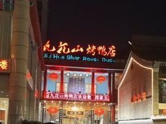 -九花山烤鸭店