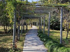 -福建鲤鱼洲酒店